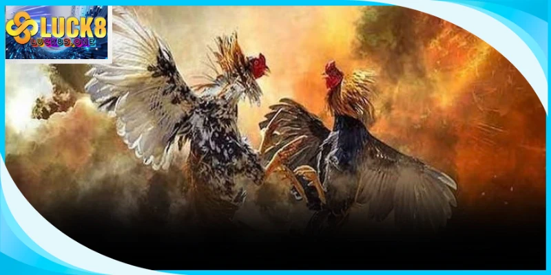 Đấu trường nảy lửa quy tụ dàn kê chiến dũng mãnh tranh tài sinh tử