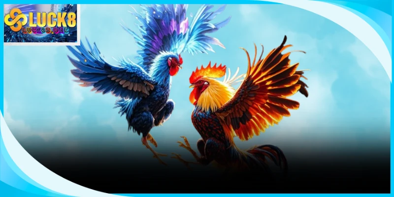 Khung đặt cược trực tuyến hiển thị các tỷ lệ chi trả tiền thưởng rõ ràng